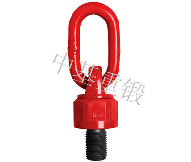 萬(wàn)向轉(zhuǎn)換吊環(huán)